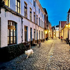 Heaven At 11, Your Deluxe With Personal Bathroom, Kitchenette & Terrace , Gent België